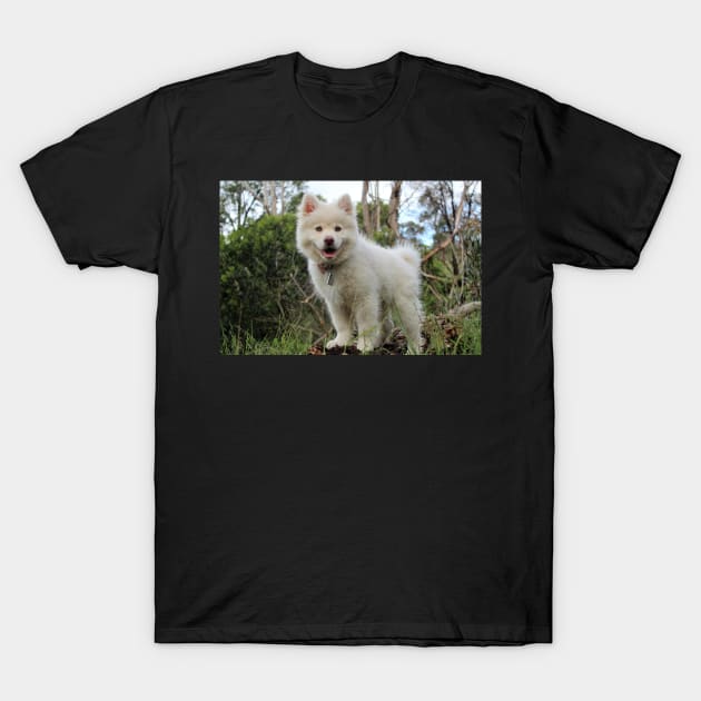 Finnish Lapphund T-Shirt by kawaii_shop